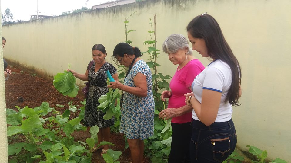 Equipe de saúde e comunidade se empenham no “Projeto Horta Comunitária” no PSF São Bernado.