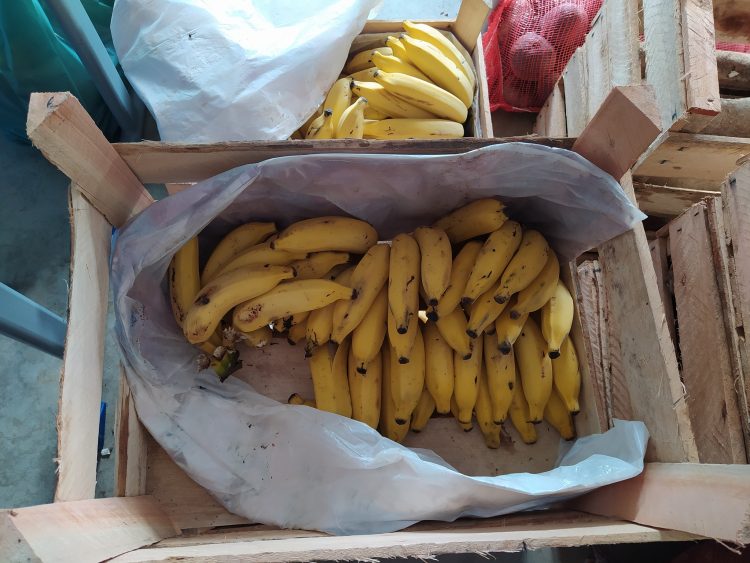 Secretaria de Educação inicia entrega de 2.890 kits alimentação