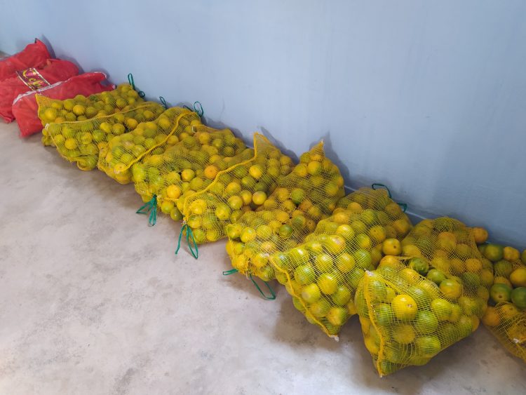Secretaria de Educação inicia entrega de 2.890 kits alimentação