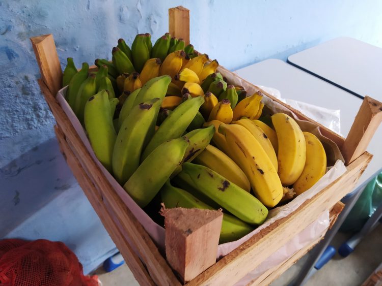 Secretaria de Educação inicia entrega de 2.890 kits alimentação