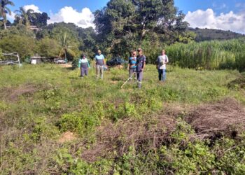 Secretaria de Meio Ambiente faz a recuperação de mata ciliar com plantio de mudas