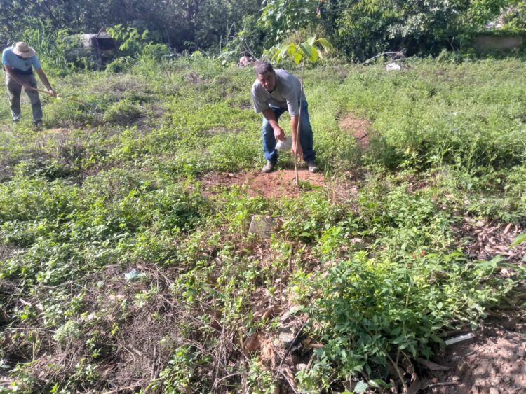 Secretaria de Meio Ambiente faz a recuperação de mata ciliar com plantio de mudas