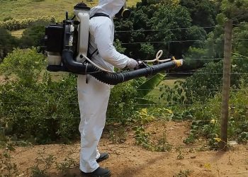 Combate à dengue é levado a sério em Mantena