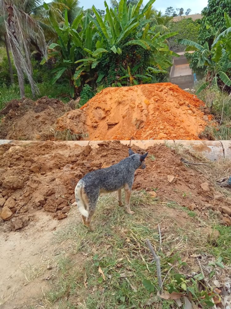 Prefeitura de Mantena realizou 106 intervenções na zona rural do município; VEJA