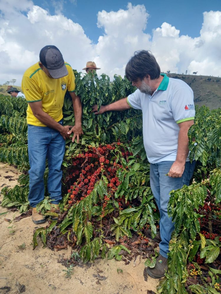 Mantena potencializa produção de café com Programa de Fortalecimento e Assistência Técnica