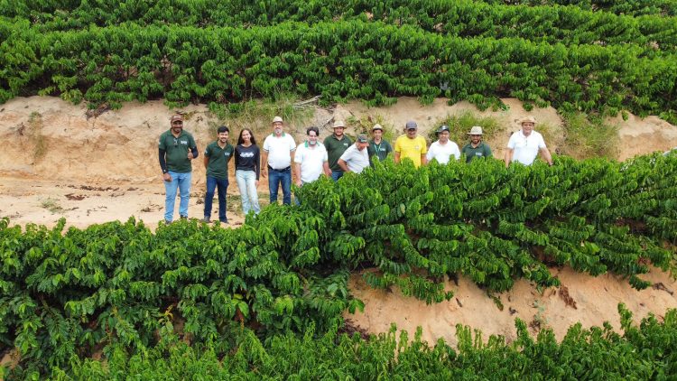 Mantena potencializa produção de café com Programa de Fortalecimento e Assistência Técnica