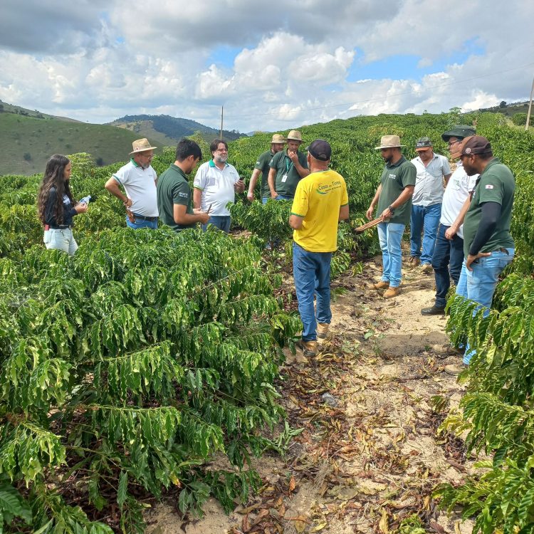 Mantena potencializa produção de café com Programa de Fortalecimento e Assistência Técnica