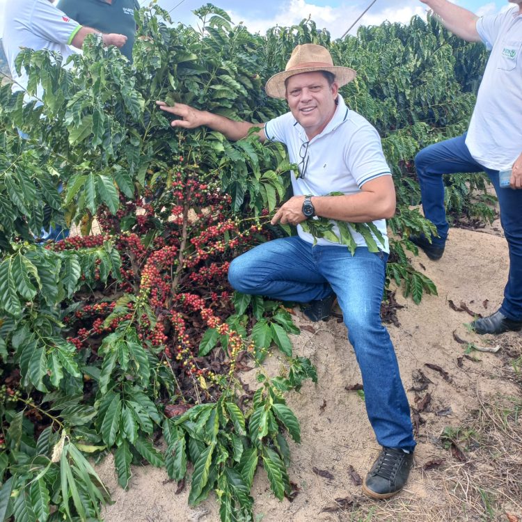 Mantena potencializa produção de café com Programa de Fortalecimento e Assistência Técnica