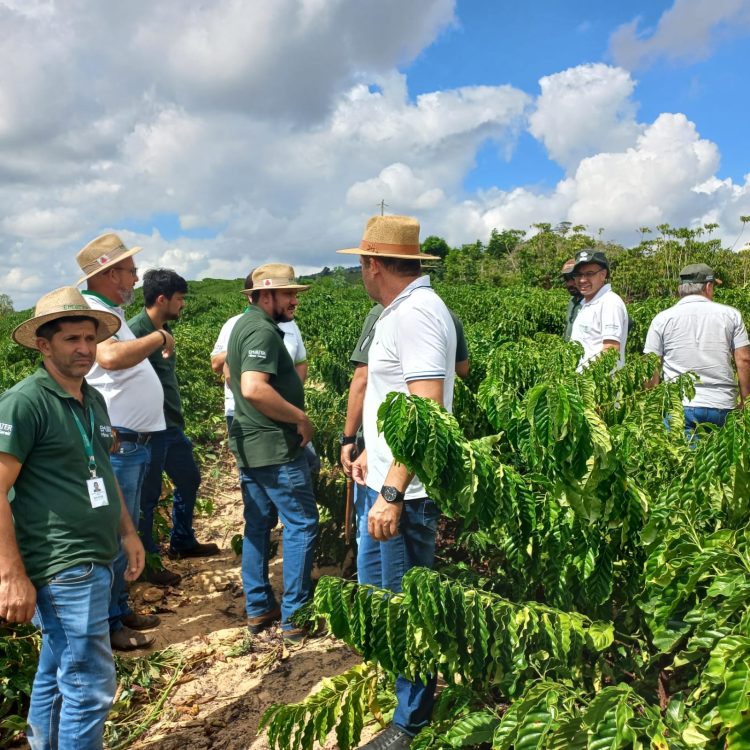 Mantena potencializa produção de café com Programa de Fortalecimento e Assistência Técnica