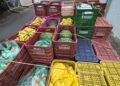 Agricultura Familiar leva alimentos frescos e mais qualidade à merenda das escolas de Mantena