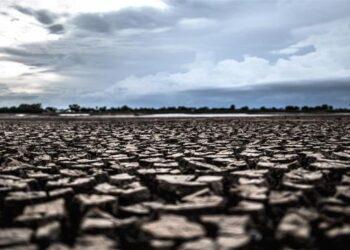 Secretaria de Meio Ambiente orienta produtores sobre disponibilidade hídrica para irrigação